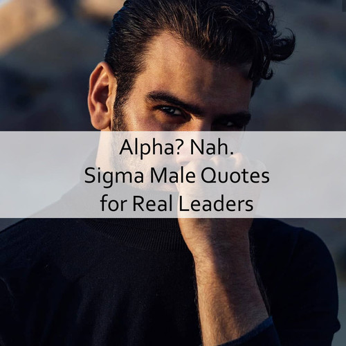 Sigma Male Quotes 113.jpg