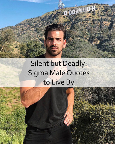 Sigma Male Quotes 923.jpg