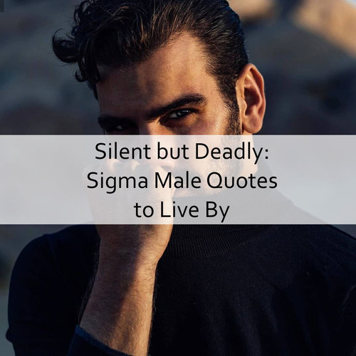 Sigma Male Quotes 930.jpg