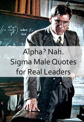 Sigma Male Quotes 658.jpg