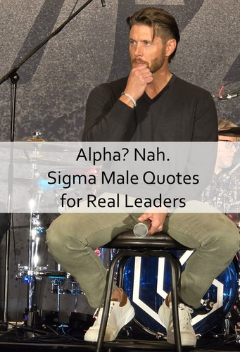 Sigma Male Quotes 728.jpg
