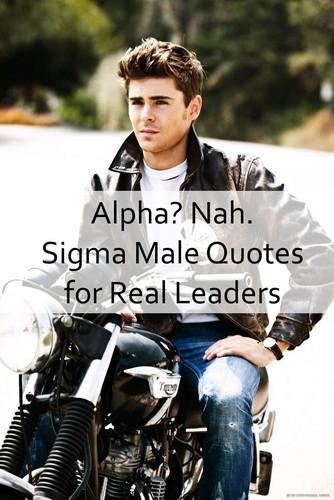 Sigma Male Quotes 159.jpg