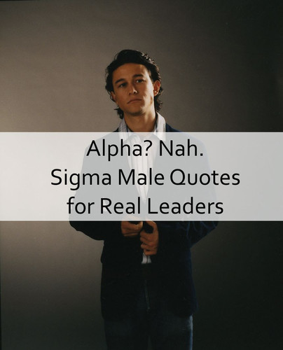 Sigma Male Quotes 229.jpg