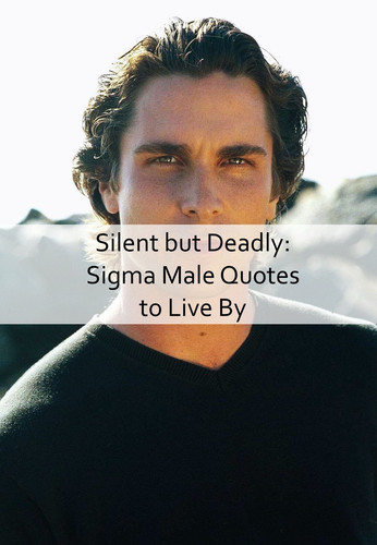 Sigma Male Quotes 1101.jpg