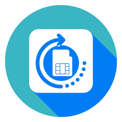 Icon 381 removebg preview.png