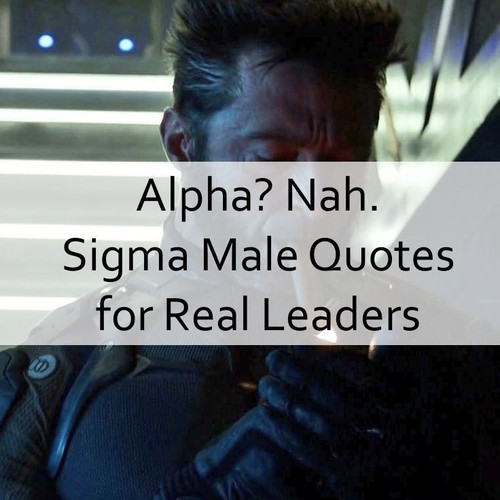Sigma Male Quotes 740.jpg