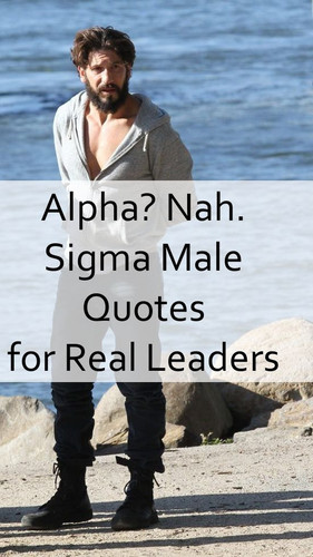 Sigma Male Quotes 290.jpg