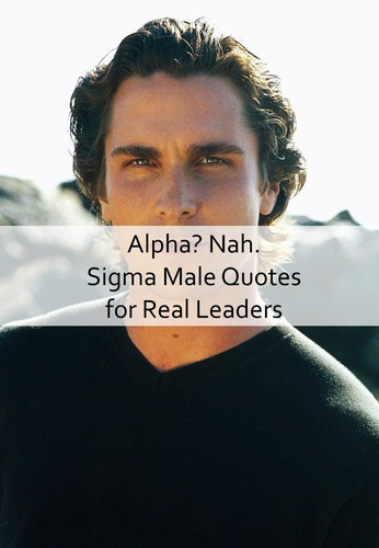 Sigma Male Quotes 284.jpg
