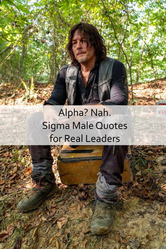 Sigma Male Quotes 340.jpg