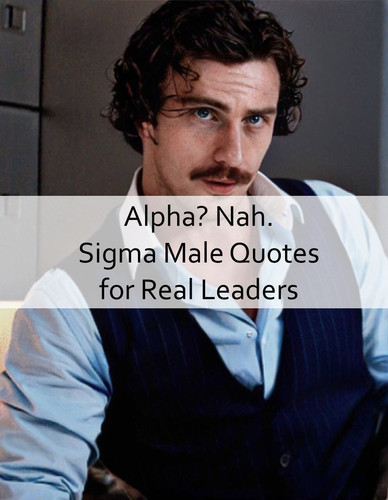 Sigma Male Quotes 560.jpg