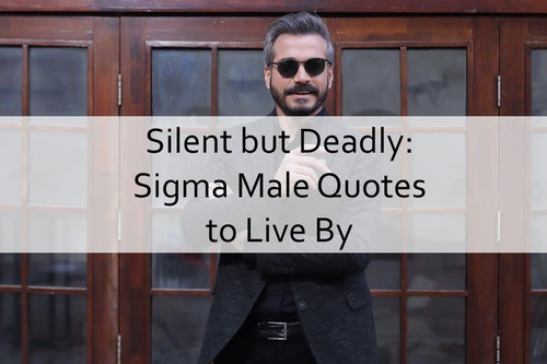 Sigma Male Quotes 1164.jpg