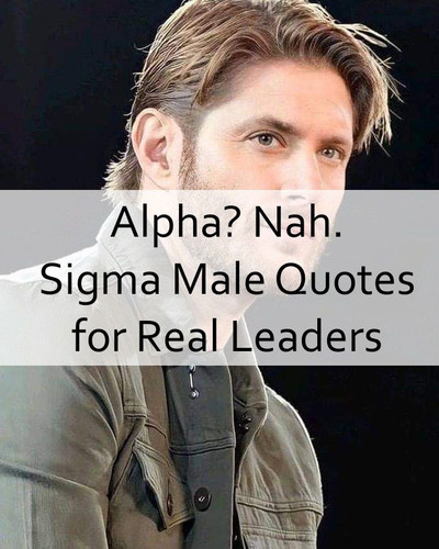 Sigma Male Quotes 802.jpg