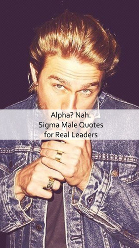 Sigma Male Quotes 817.jpg
