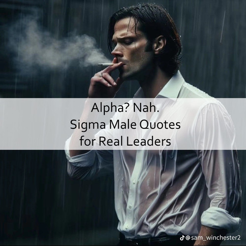 Sigma Male Quotes 585.jpg
