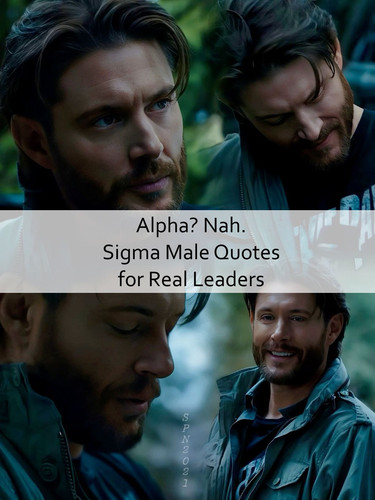 Sigma Male Quotes 610.jpg