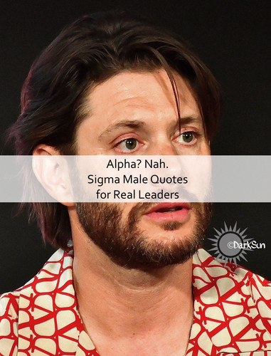 Sigma Male Quotes 615.jpg