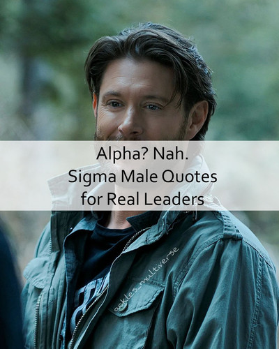 Sigma Male Quotes 611.jpg
