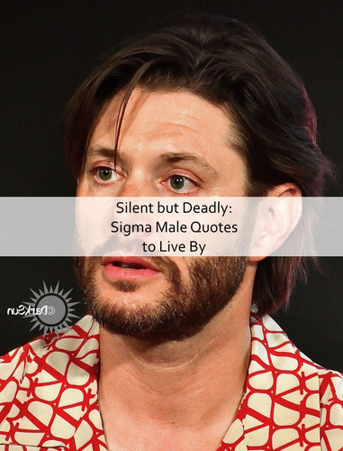 Sigma Male Quotes 1432.jpg