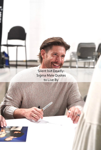 Sigma Male Quotes 1546.jpg