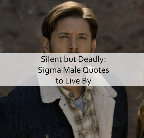 Sigma Male Quotes 1344.jpg