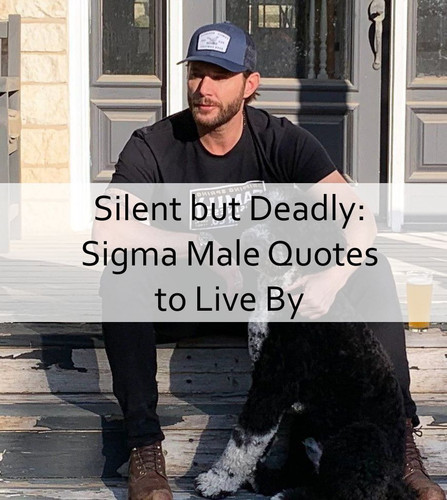 Sigma Male Quotes 1616.jpg