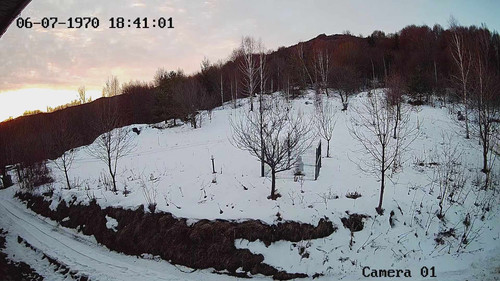 471942772 1771332813719580 2563270470053195339 n.jpg