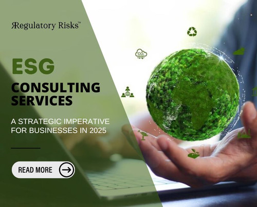 ESG Consulting Services: A Strategic Imperative for Businesses in 2025.jpg