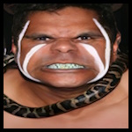NC Viper.jpg