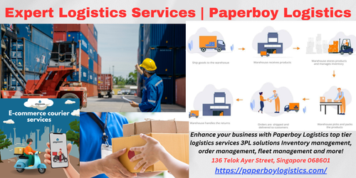 Expert Logistics Services -Paperboy Logistics.png
