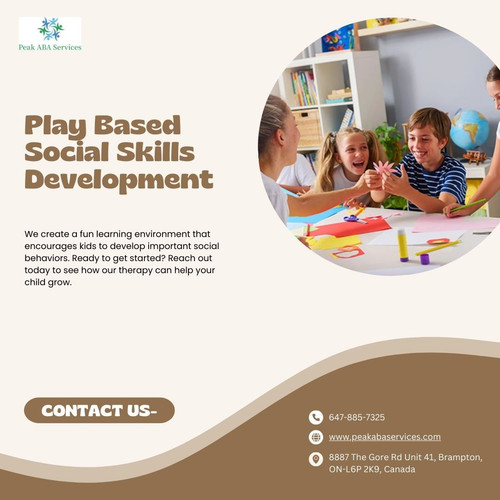 Play Based Social Skills Development.jpg