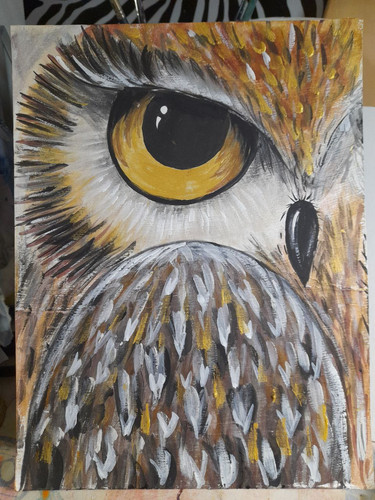 1736349355 1006292594.jpg