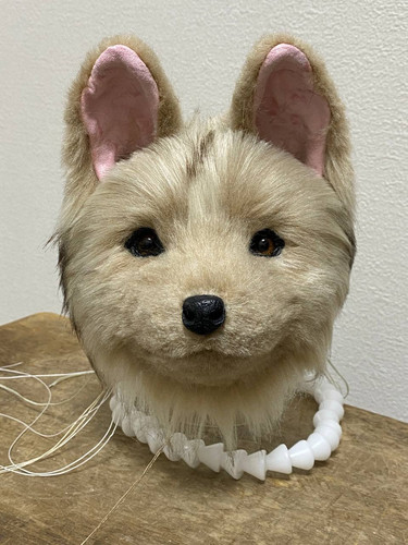 1736348186 1235056291.jpg