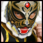 Tiger Mask 3.jpg