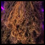 The Swamp Monster.jpg