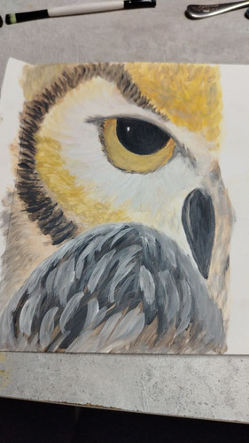 1736357192 1077773373.jpg