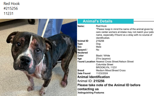 GdG1t 9XMAAtLrt?format=png.png