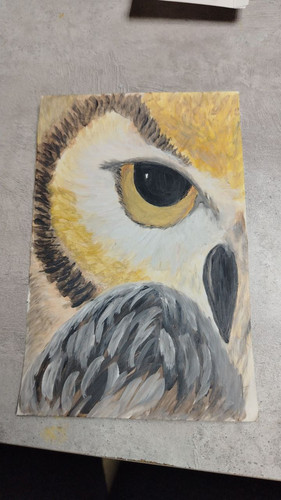 1736357394 715207267.jpg