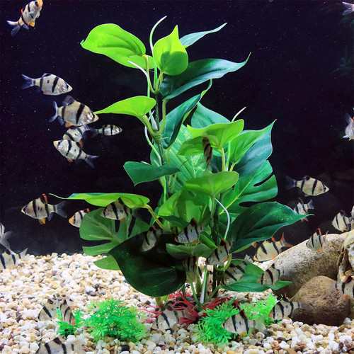 81nWuNtT1US. AC SL1500 .jpg