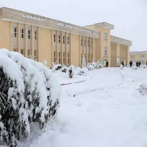 5967624344035245887 1.jpg