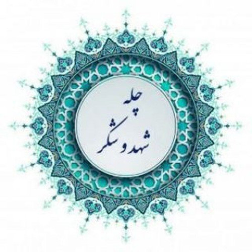 5920462785626617732 1.jpg