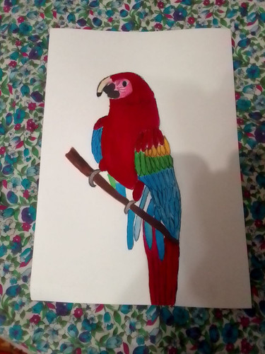 1736331420 260841095.jpg