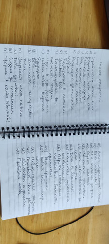 1736333584 2018899353.jpg