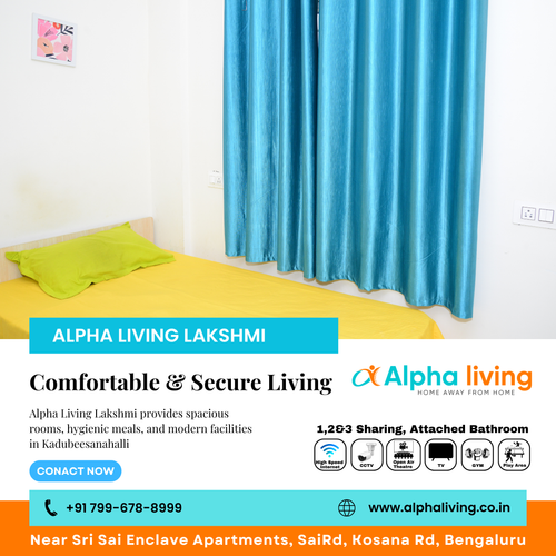 Searching for the best PG for professionals in Kadubeesanahalli?.png