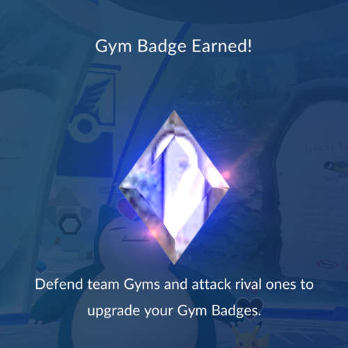 IMG 3131.png