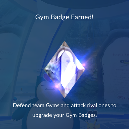 IMG 3130.png