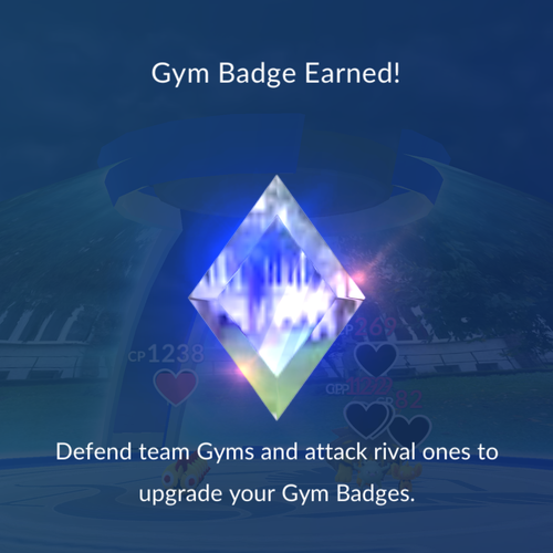 IMG 3063.png