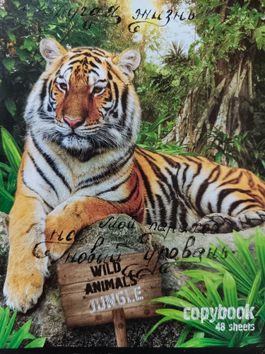 1736365679 811833263.jpg