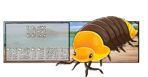 2024 12 29 0oz Kleki.png