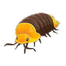 2024 12 26 0o3 Kleki.png