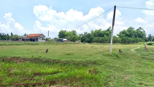 472759707 1133384111649045 7923763662633031919 n.jpg